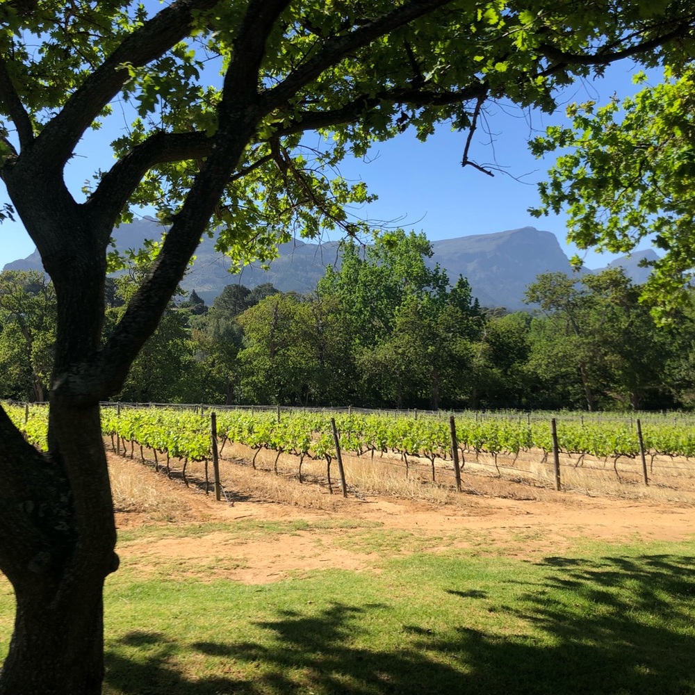 Meet your Posher, Taryn